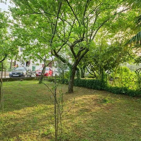 Apartman Miro Apartment *